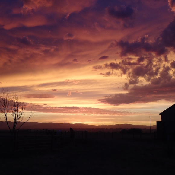 Meet your Posher, Ruth - Picture 13 of 16